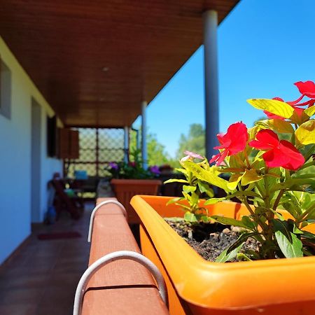 Aljmaš Apartman Dunav מראה חיצוני תמונה