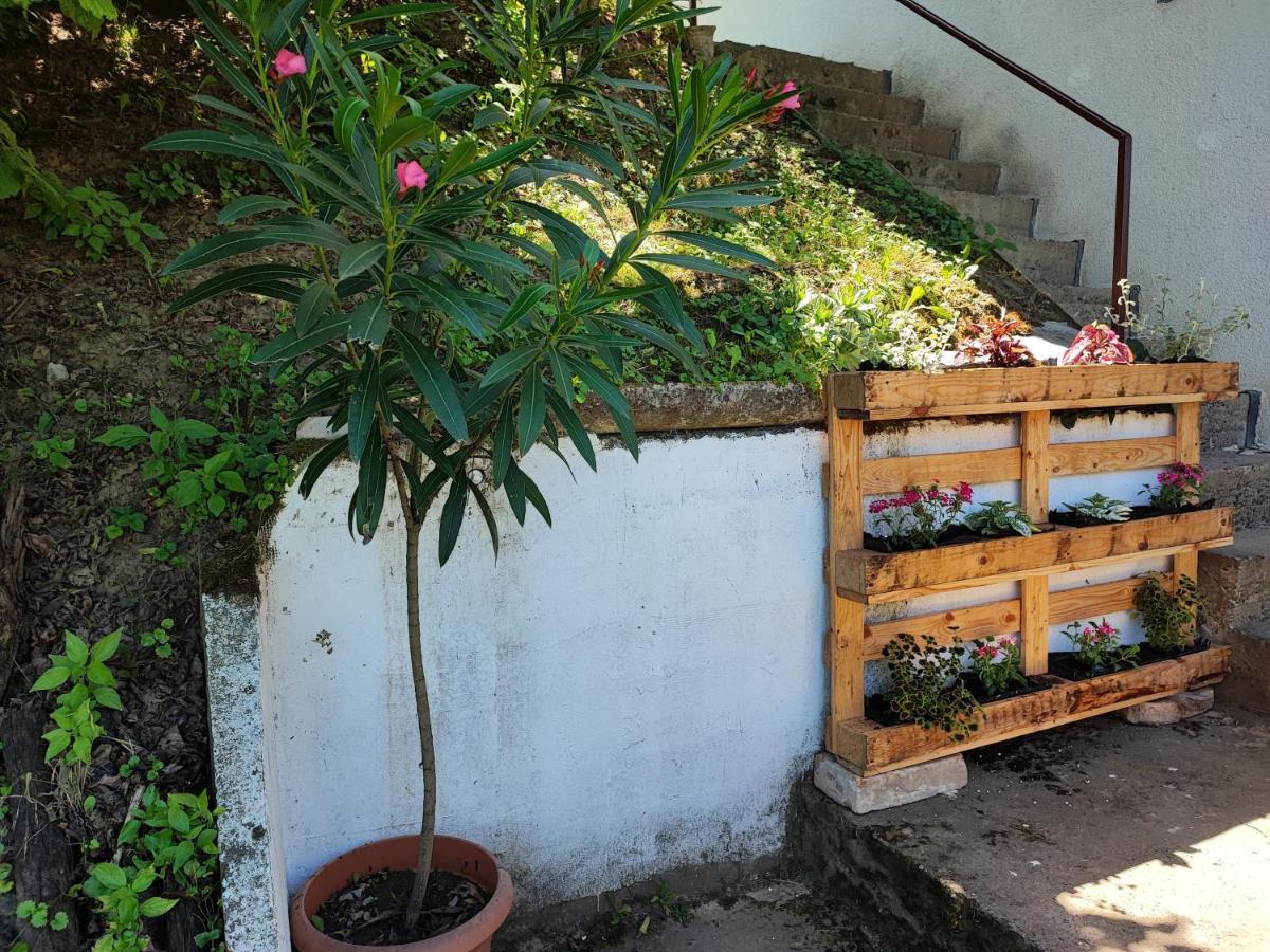 Aljmaš Apartman Dunav מראה חיצוני תמונה